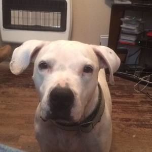 Meet your Posher, Kenneth